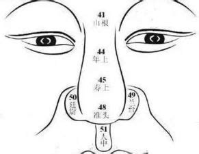 面相 鼻|14种鼻型图解 最全鼻子看相解读命运